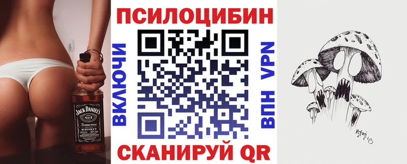 Псилоцибиновые грибы Cubensis  Махачкала 