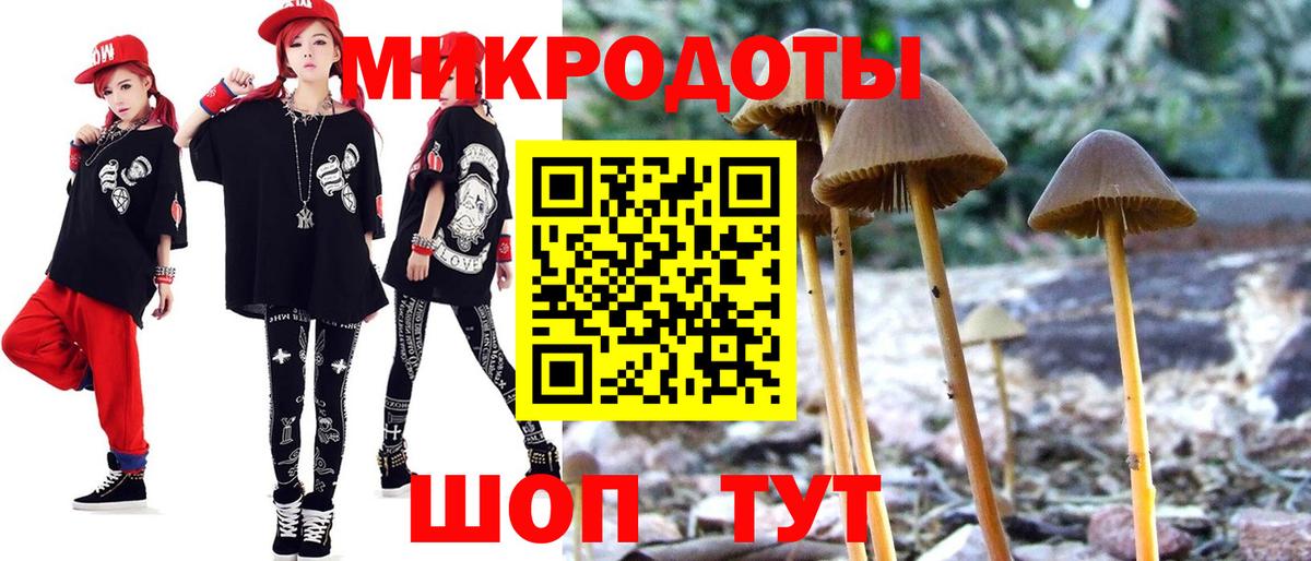 Псилоцибиновые грибы MAGIC MUSHROOMS  Вход с VPN  Махачкала 