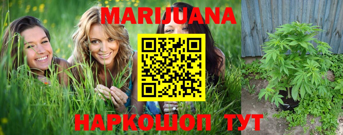 Марихуана гибрид  Вход с VPN  Каннабис ГИДРОПОН  Канабис OG Kush  Махачкала 